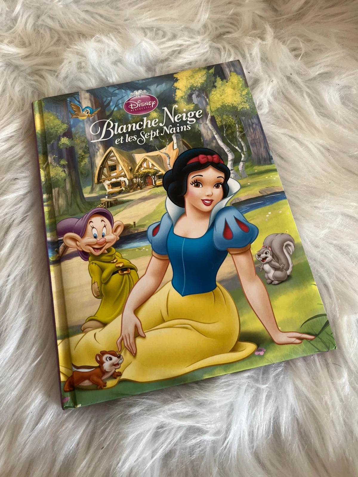 Livre Disney Blanche-Neige et les Sept Nains
